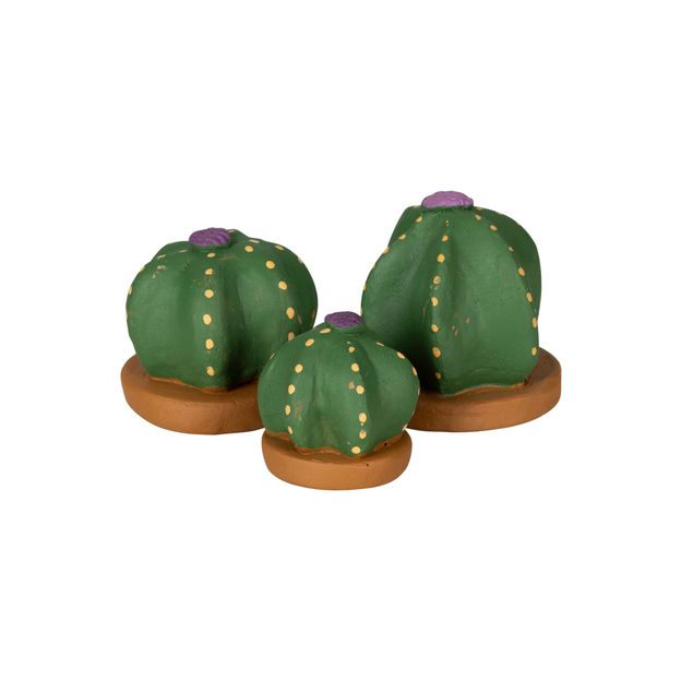 ADORNO MESA COROA DE FRADE COM 3 CACTOS