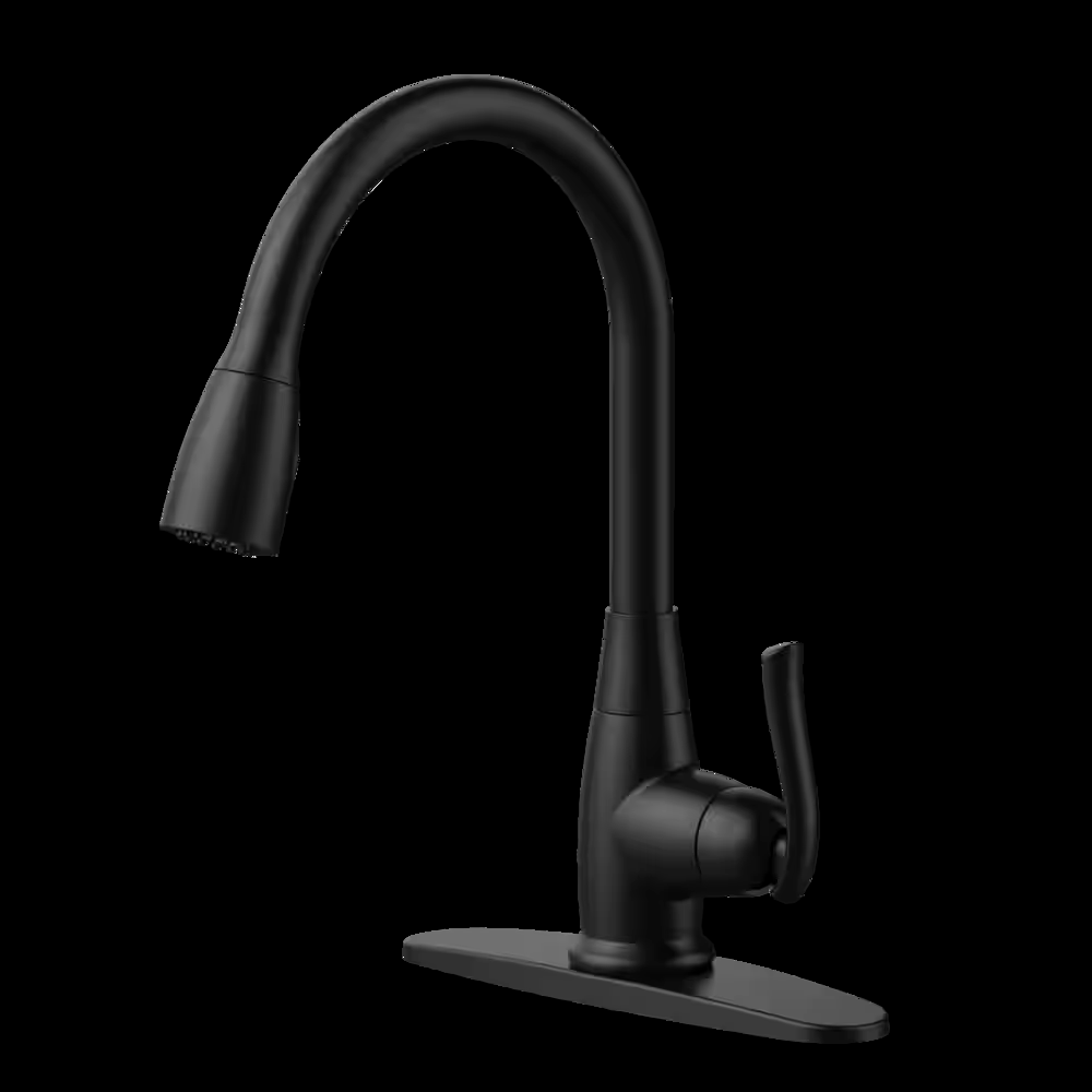 Danze Terrazo 1-Handle Pull Down Kitchen Faucet, Matte Black