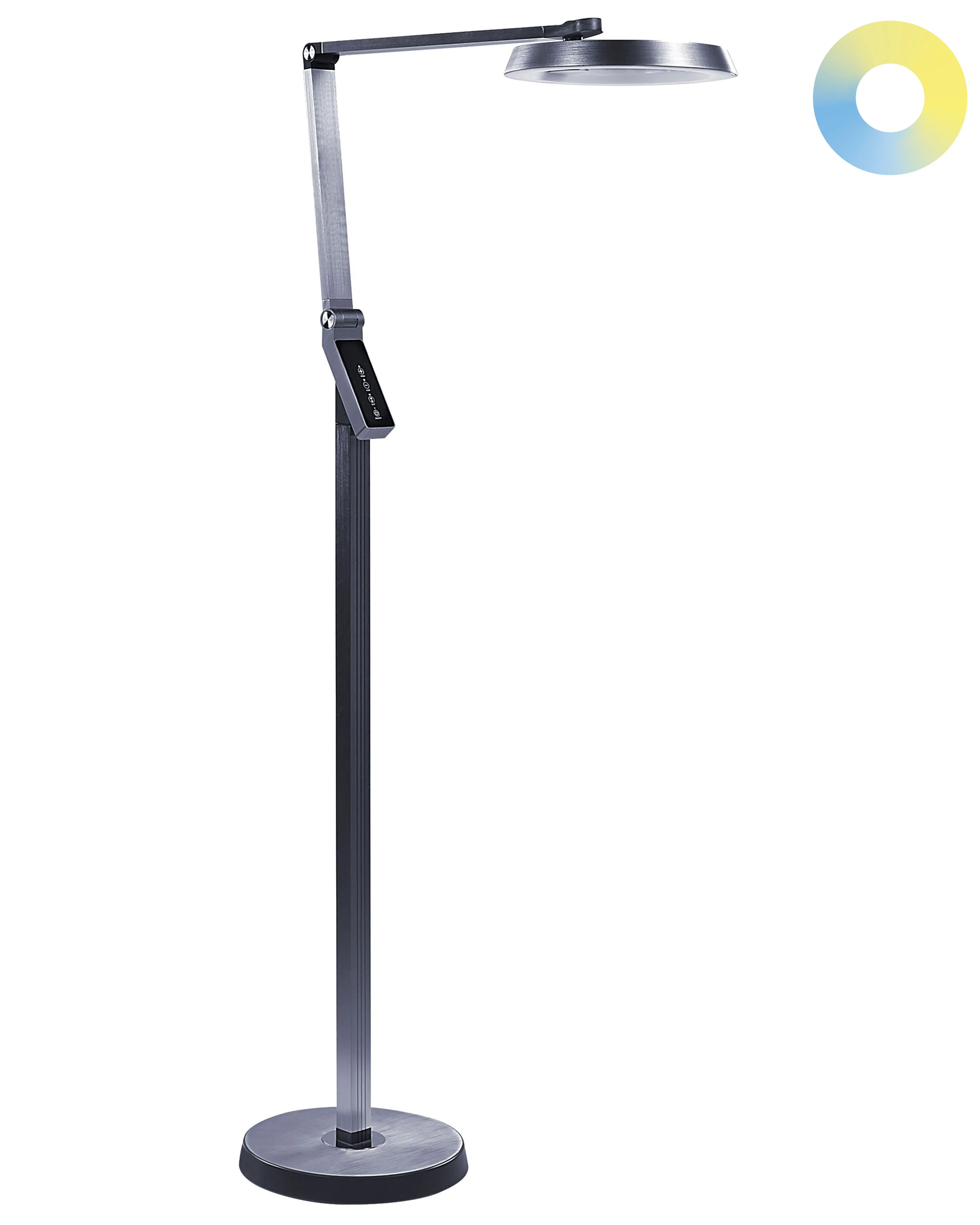 LED Floor Lamp CARINA with Dimmer Metal Dark Grey