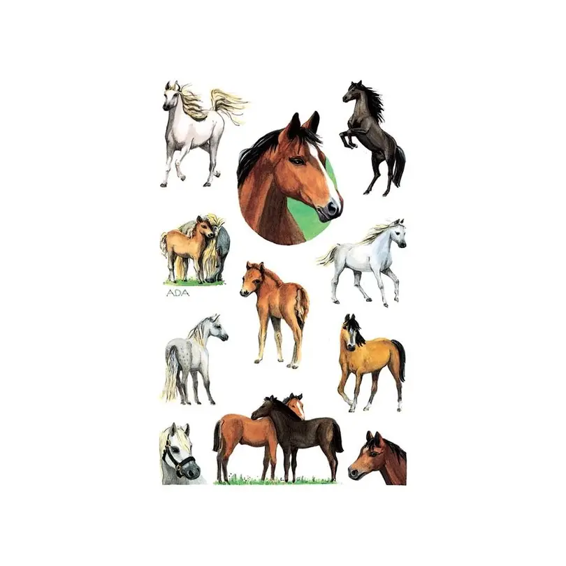 Sticker 2er-Set Kreativ