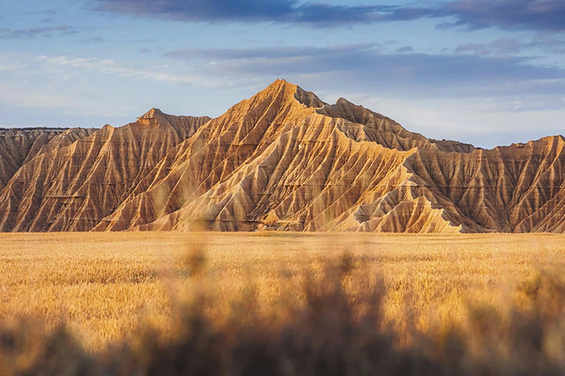 VEINES DE NAVARRE - Photographie d'art d'Hugo Grandcolas  40x60 cm sur plexi