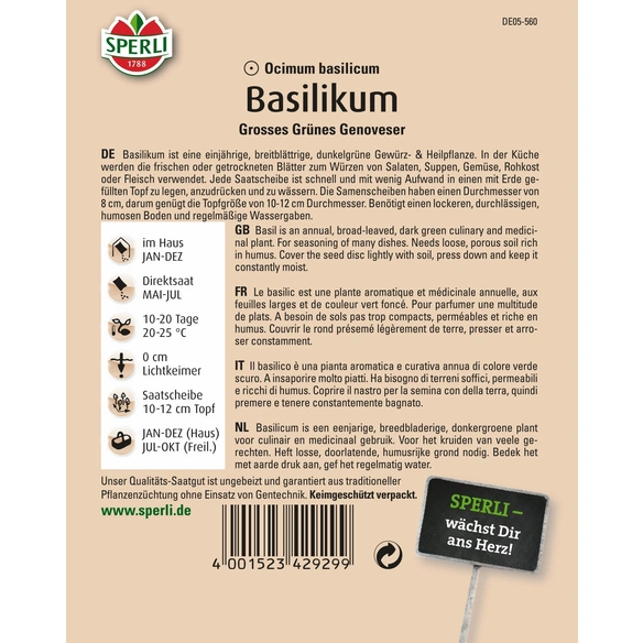 Basilikum »Großer Grüner Genoveser«, einjährig, großblättrige Sorte im Typ „Genoveser“
