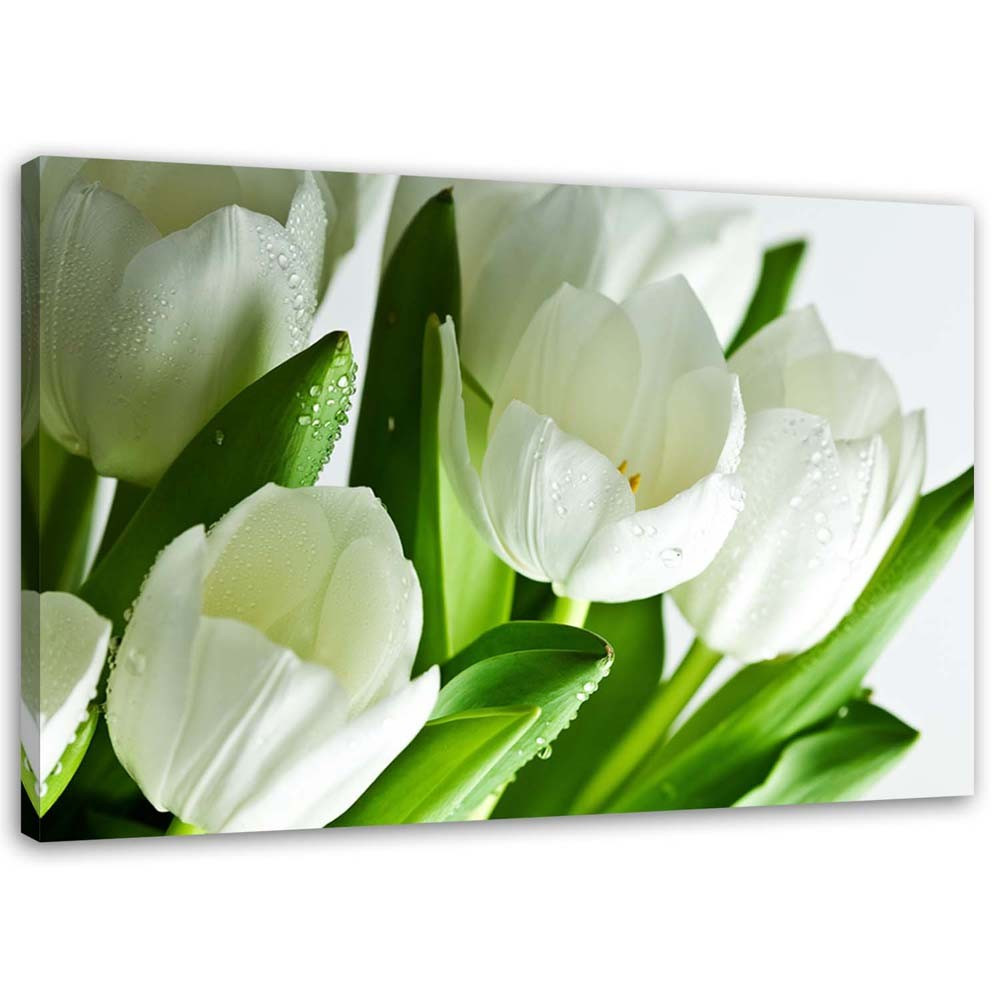 Feeby Obraz Białe tulipany 60x40