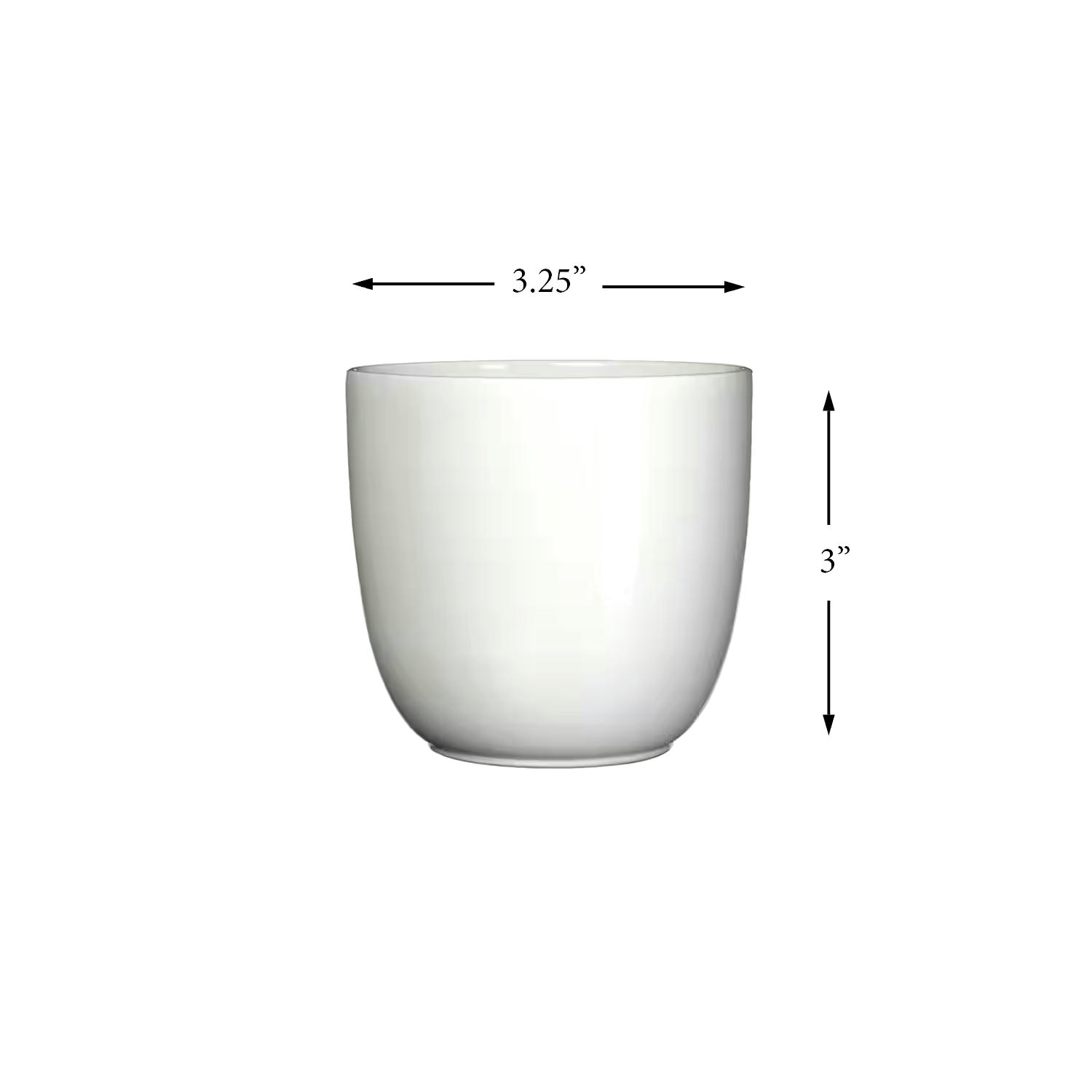 CANVAS Tusca Indoor Ceramic Round Planter, 8.5-cm, Assorted Colours