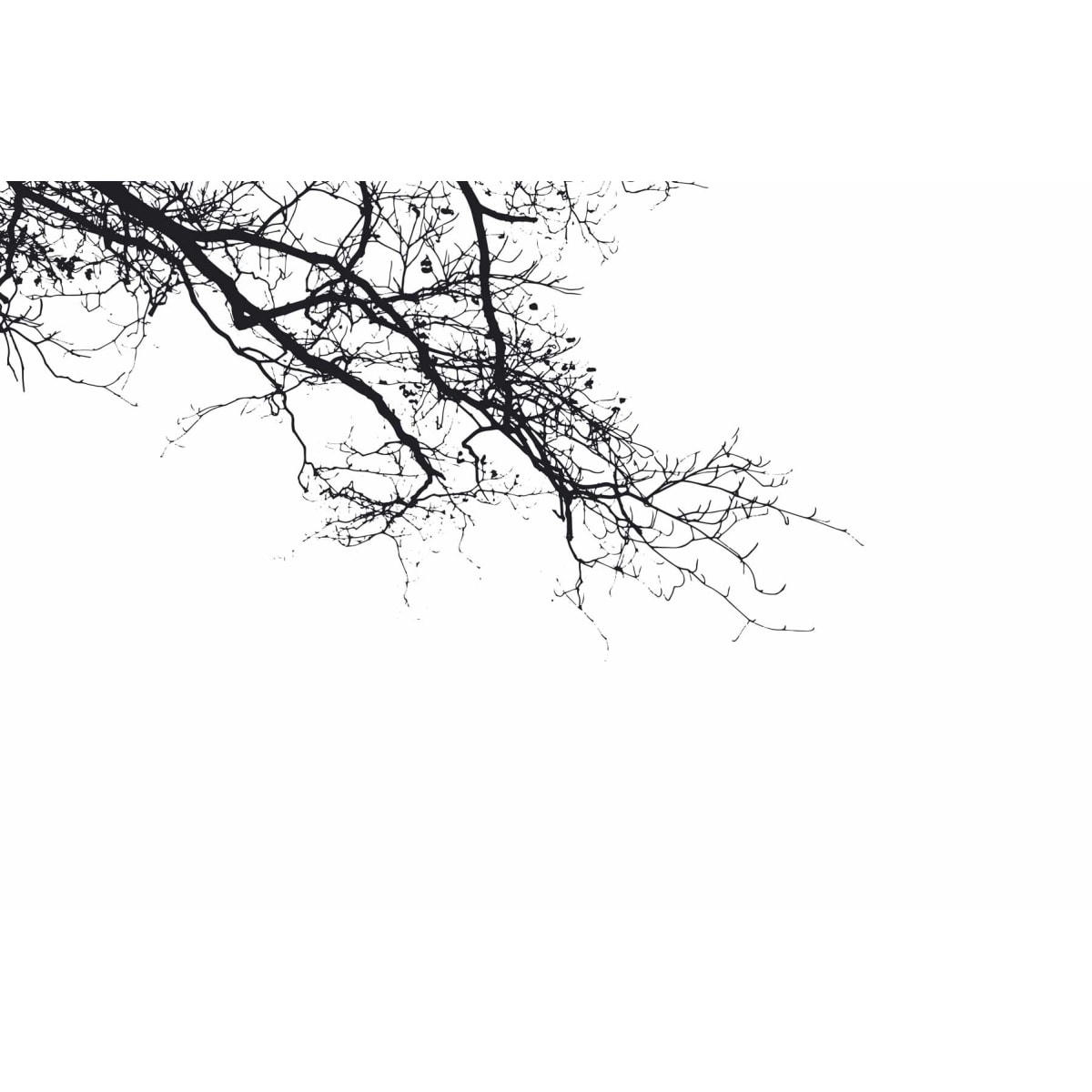 - Papier peint panoramique abstract branch 300 x 250 cm