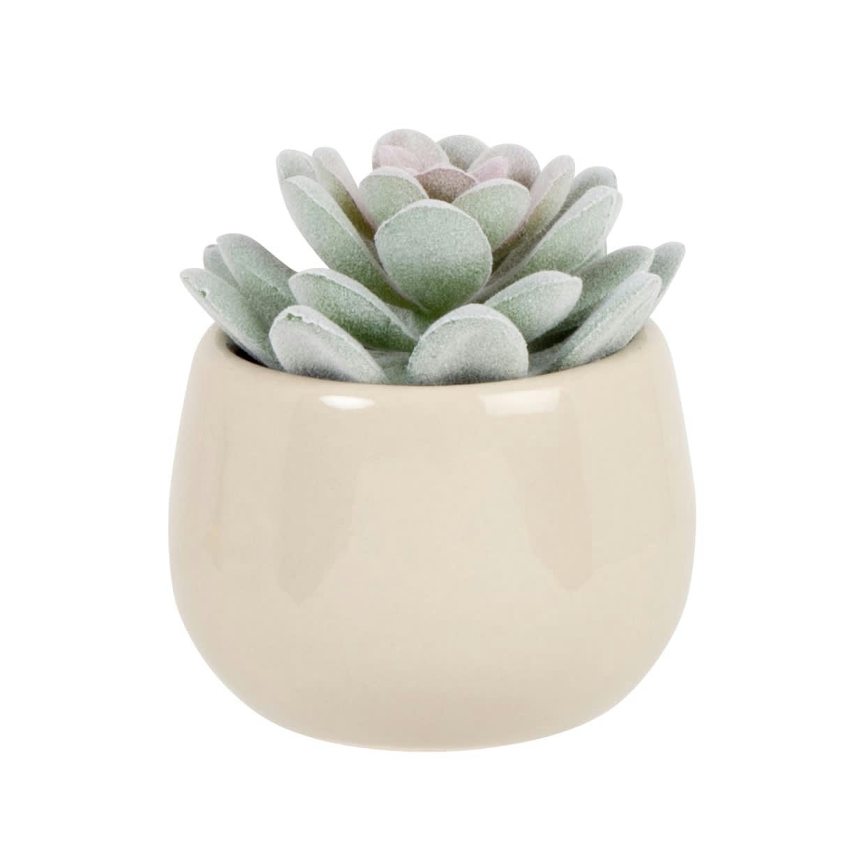 EMMY - Succulente artificielle vert céladon et pot en grès