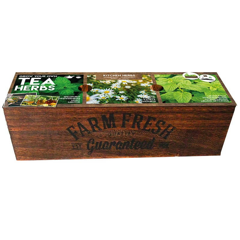 - Kit prêt à pousser - Herbes à Thé
