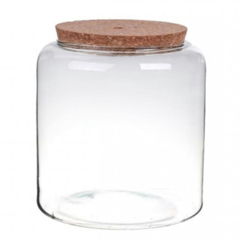 - Terrarium en verre transparent Mia 19x20 cm