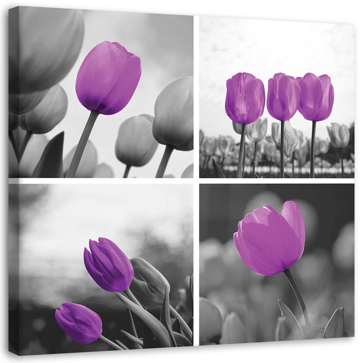 Feeby Obraz na płótniefioletowych tulipanów 30x30