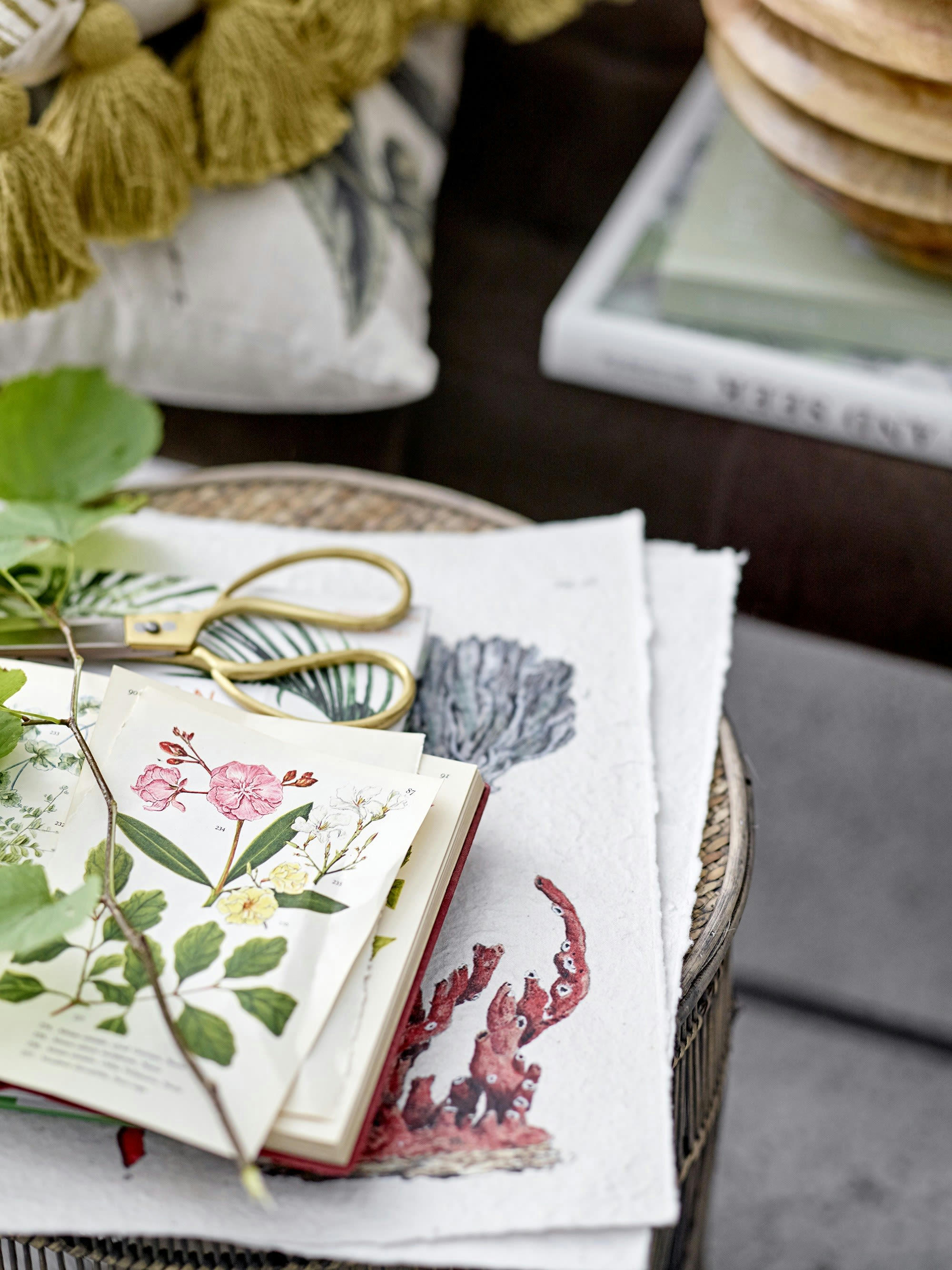 HANA - Ciseaux en acier inoxydable doré