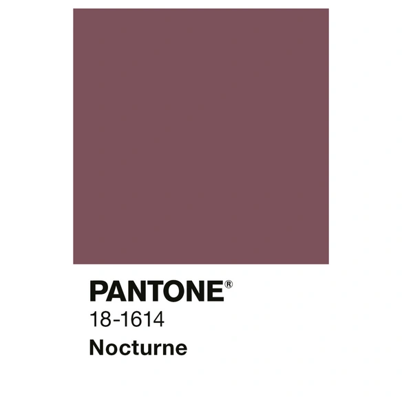 Wandfarbe »PANTONE«, Nocturne, matt, 1 l
