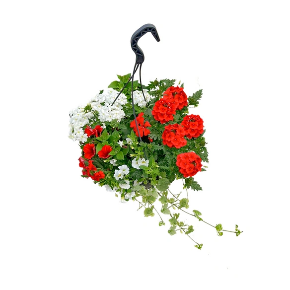 Blumenampel »Mamas Liebling«, 27 cm (Ø), inkl. 5 Pflanzen & Wasserspeicher