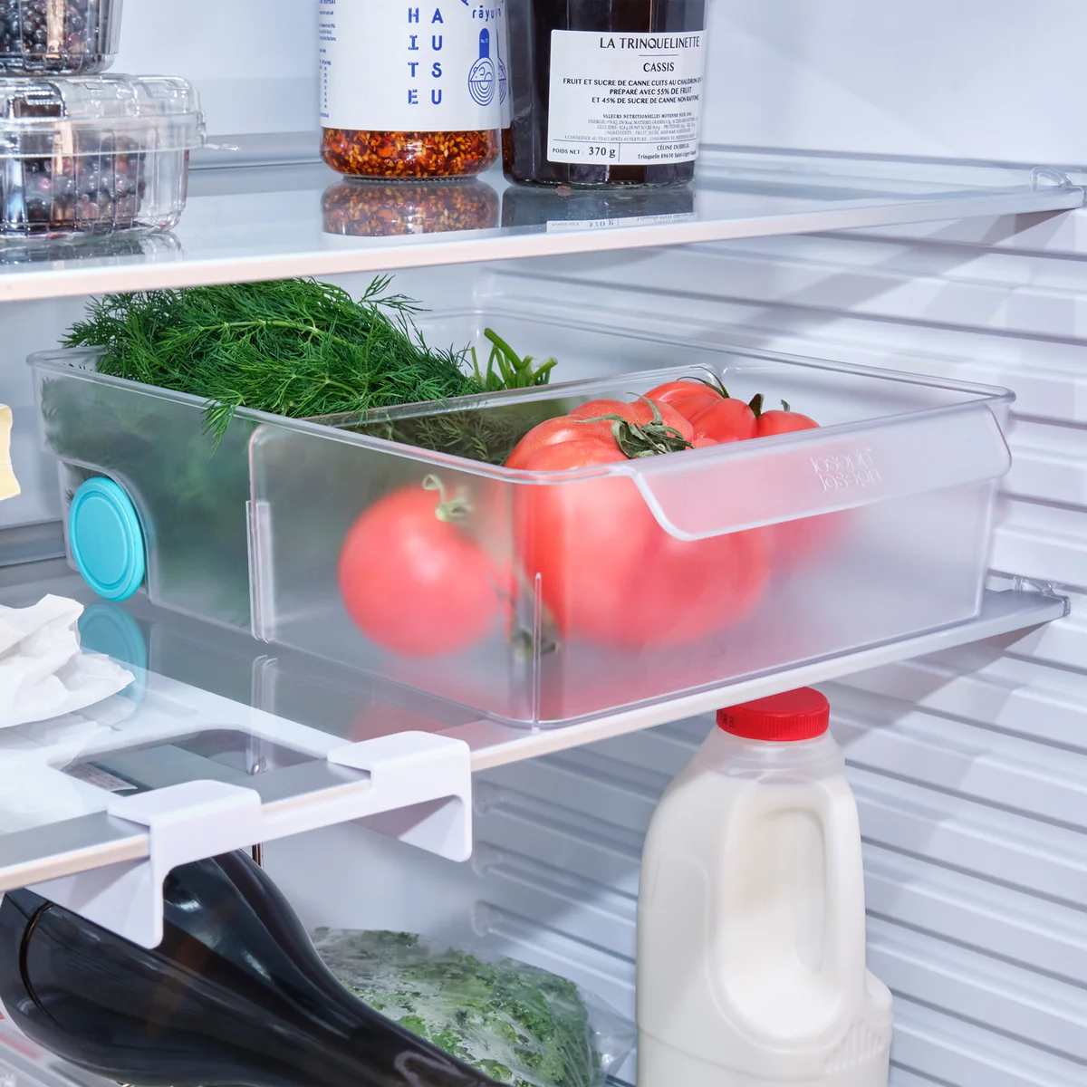 Joseph Joseph - FridgeStore Aufbewahrungsbehälter, Extragroß, transparent
