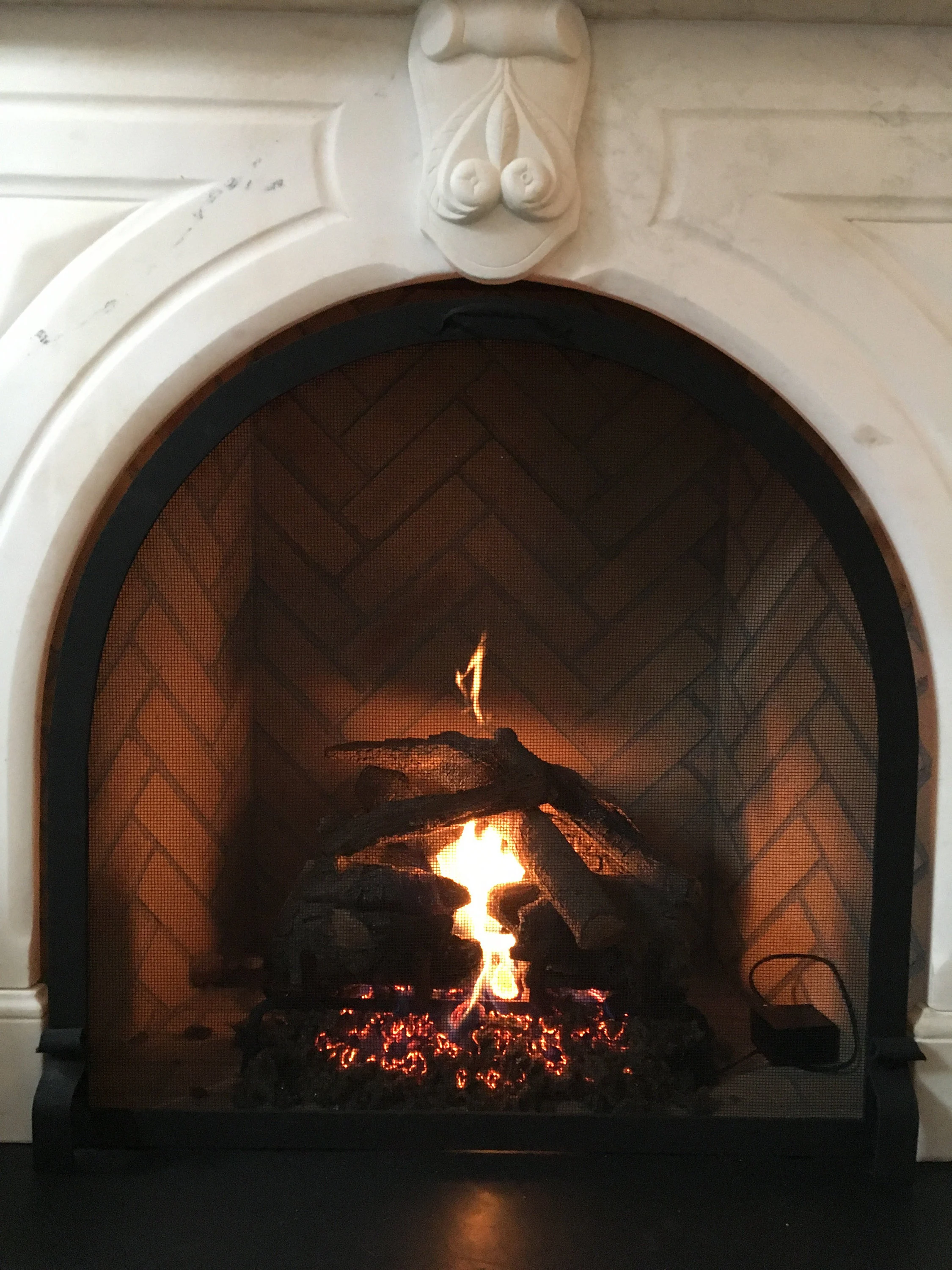 Arched Fireplace screen
