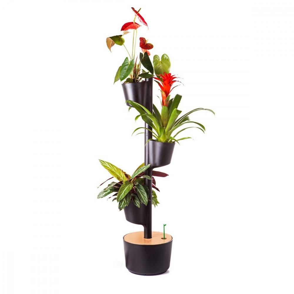 - Jardin d'intérieur avec 3 plantes décoratives et arrosage auto noir