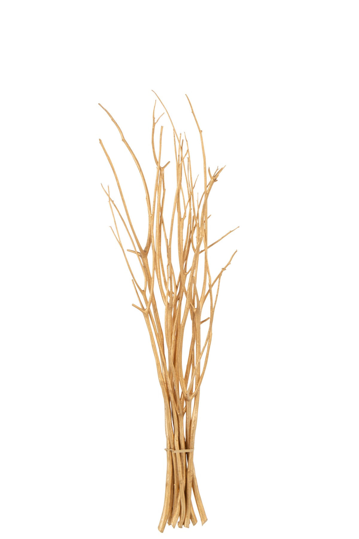 J-Line decoratie tak droogbloemen - riet - goud - small - 3 stuks