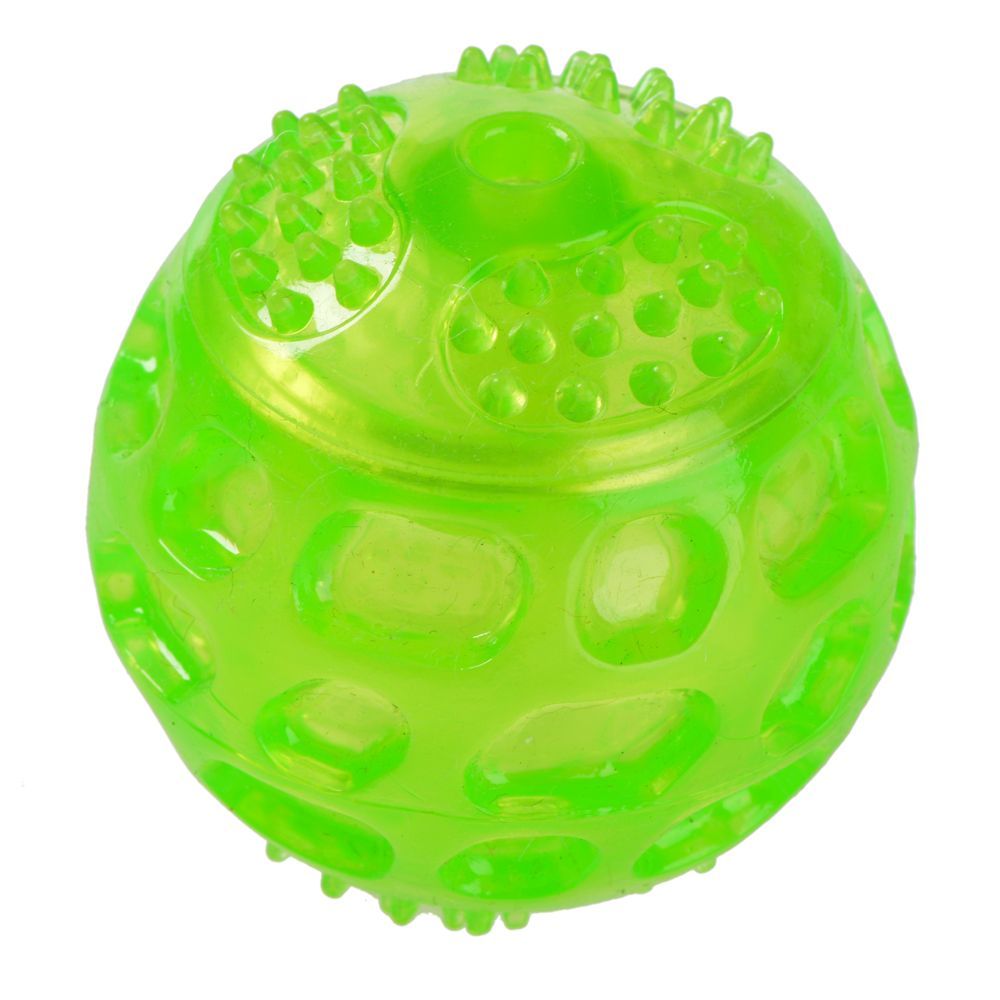 Squeaky Ball Dog Toy