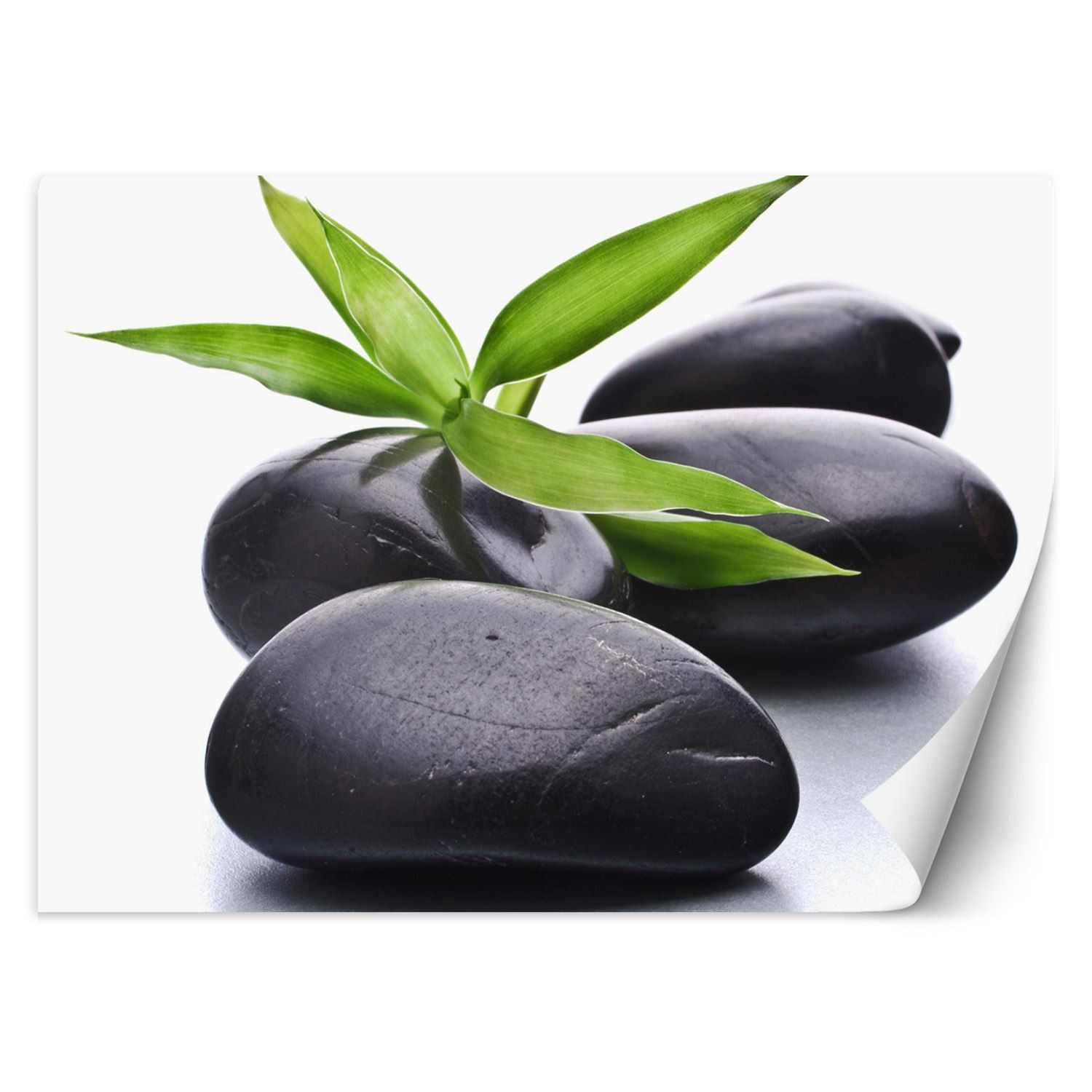 Feeby Fototapeta, Kamienie zen liść 150x105