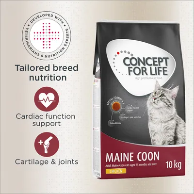 Concept for Life Maine Coon Adult