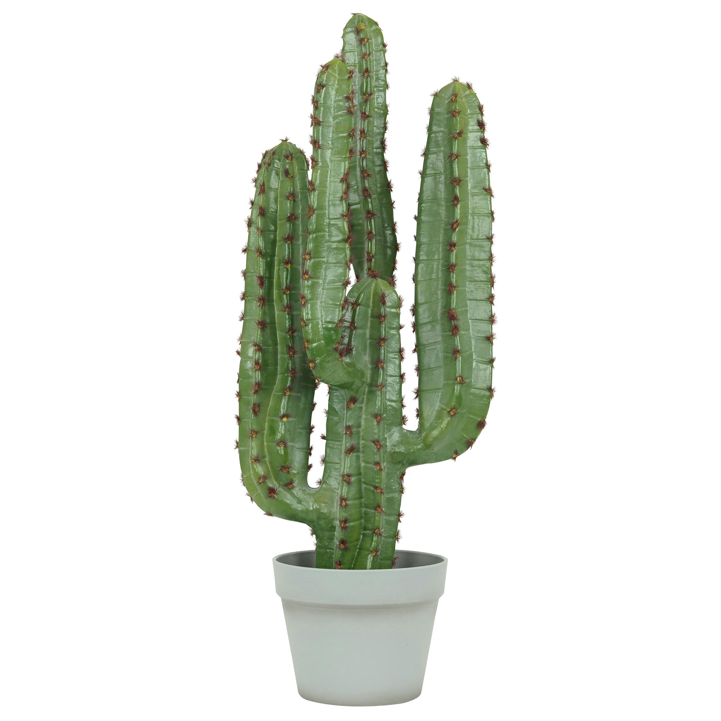 - Cactus artificiel euphorbe 70cm