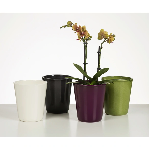 Blumentopf »ORCHID«, Höhe: 14,4 cm, grün, Keramik