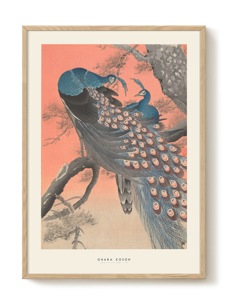Ohara Koson - Peacocks on tree - PSTR studio Kunst Poster