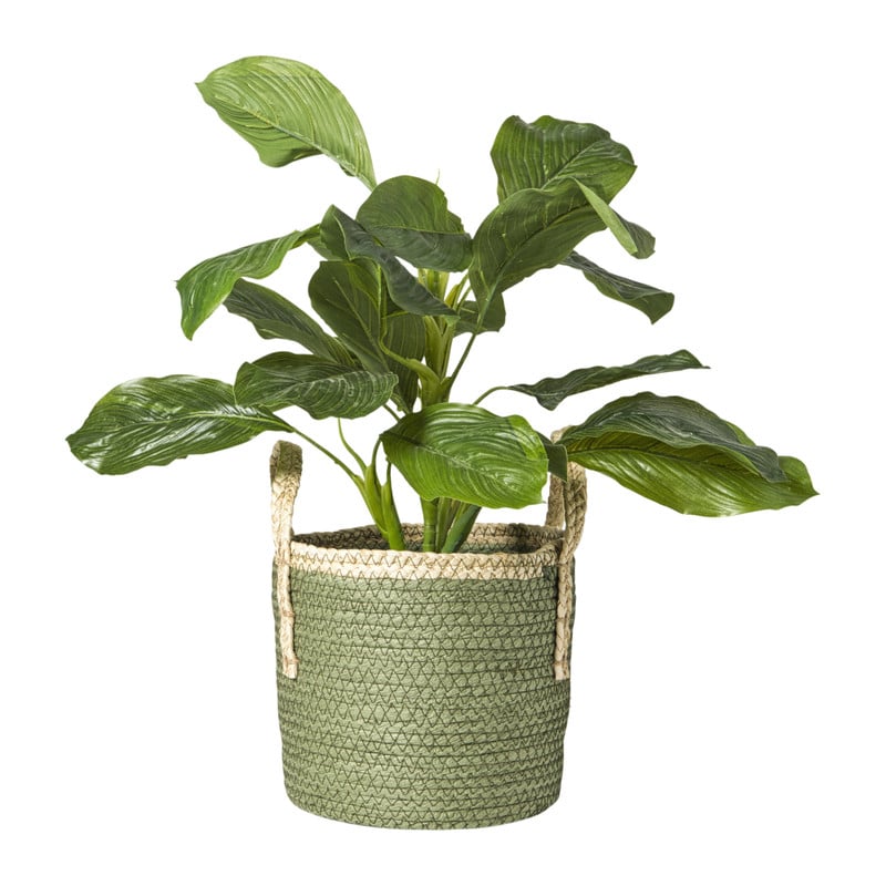 Mand colors - groen/bruin - &Oslash;21x18 cm