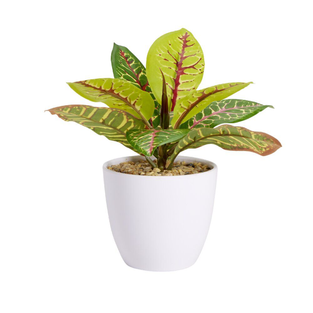 Plante verte artificielle pot blanc H20cm - 2modèles