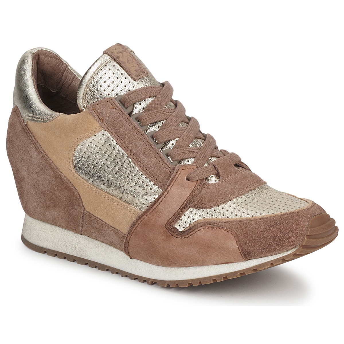Ash - DEAN BIS - Gold / Brown