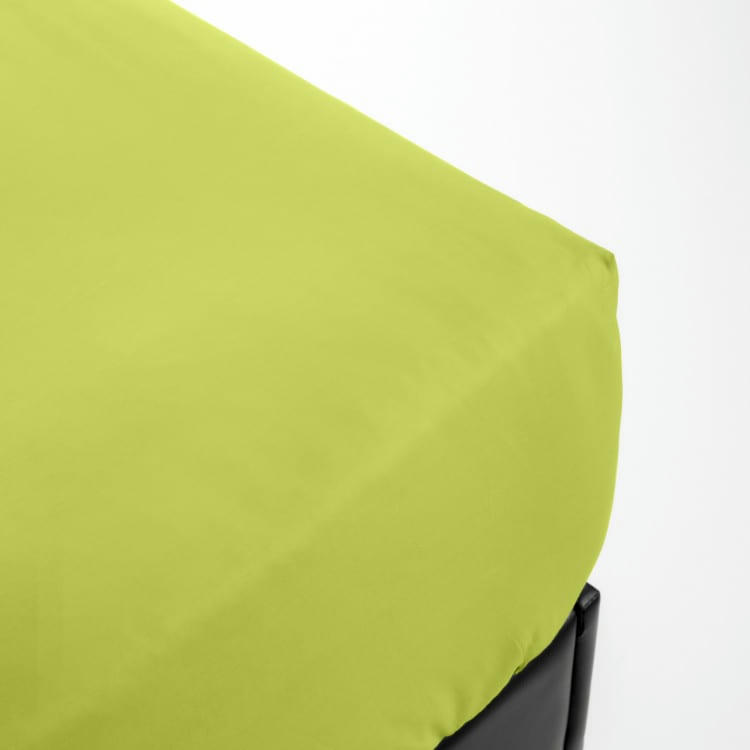 PERCALE MONTELEONE - Drap housse en Coton Vert 2x90x200 cm