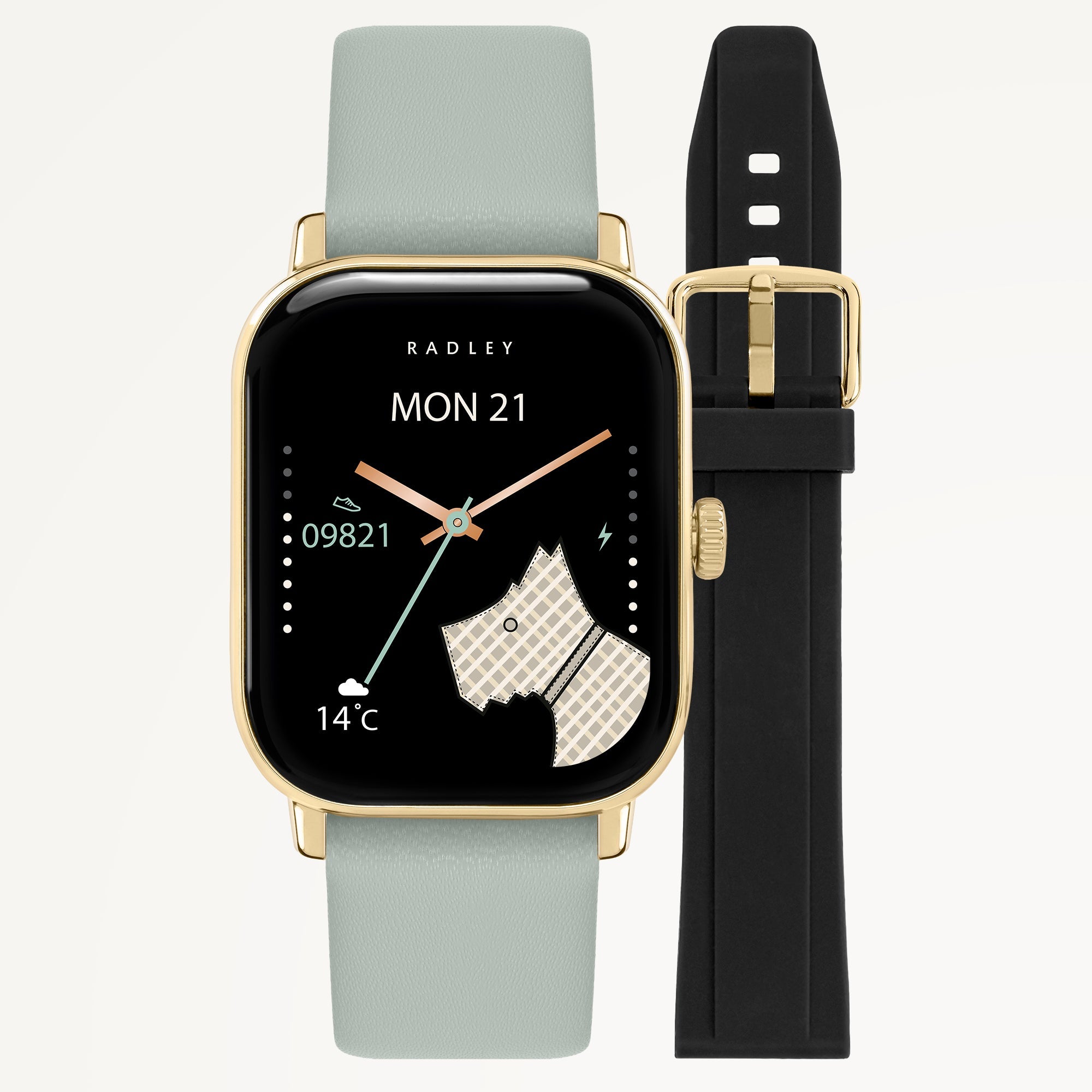Series 56 Smartwatch With Two Straps Artichoke - RYS56-2184