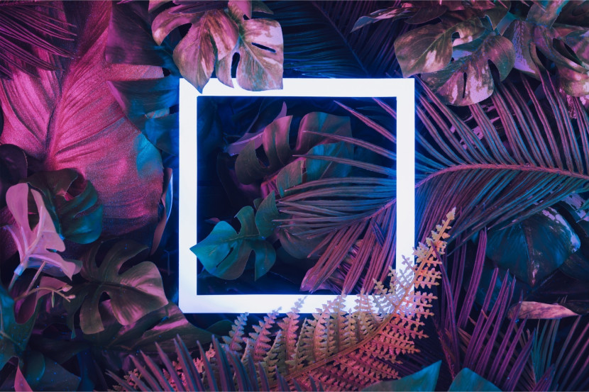 Fototapeta Rośliny TROPIKALNE Kwadrat 3D 90x60cm