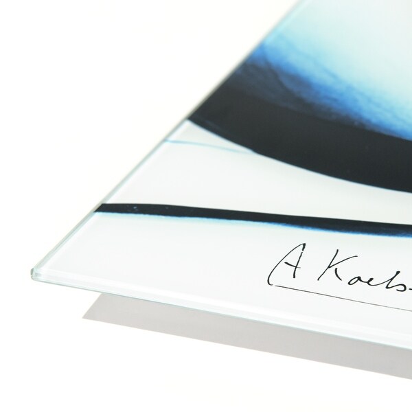 Empire Art Direct "Blue Magnolia x-ray" Frameless Floating Glass Panel Art - Blue