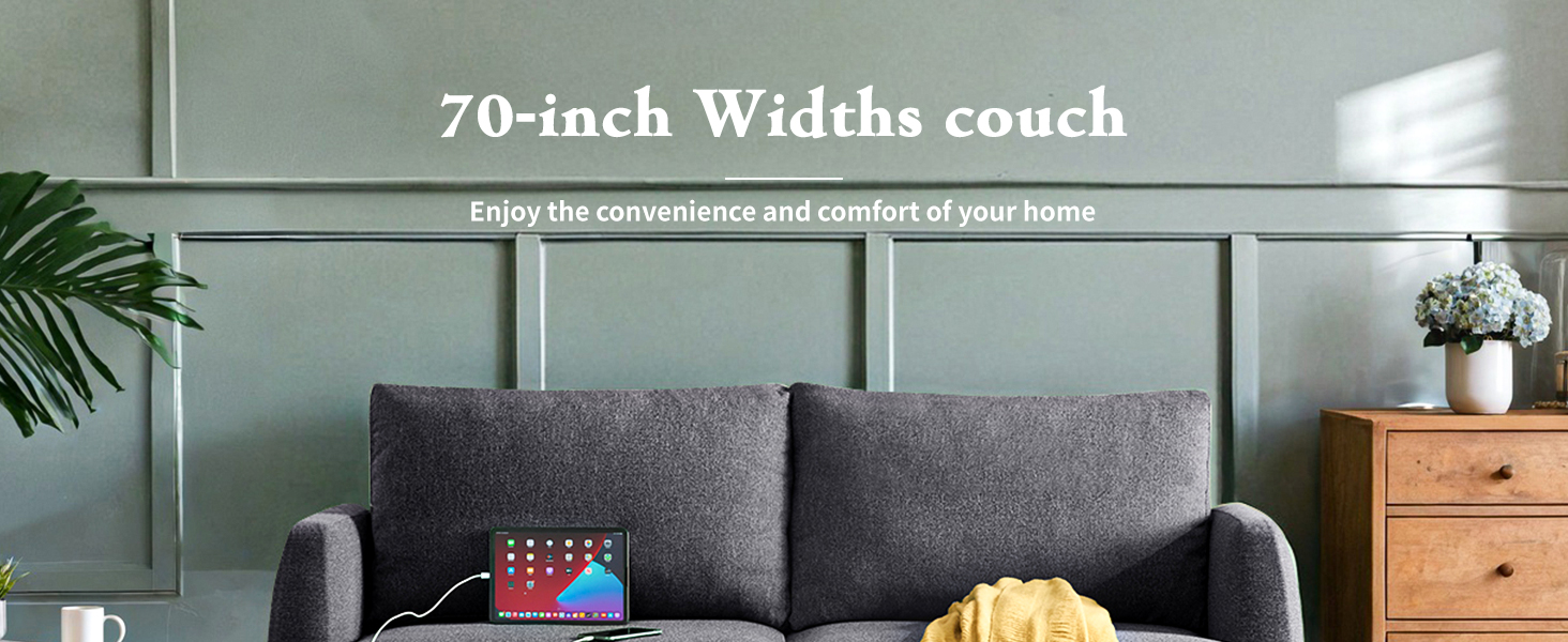Loveseat Sofa