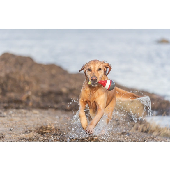 Hundespielzeug, 19 cm, mit Leckerlis befüllbar, TPR, rot/weiß/grau