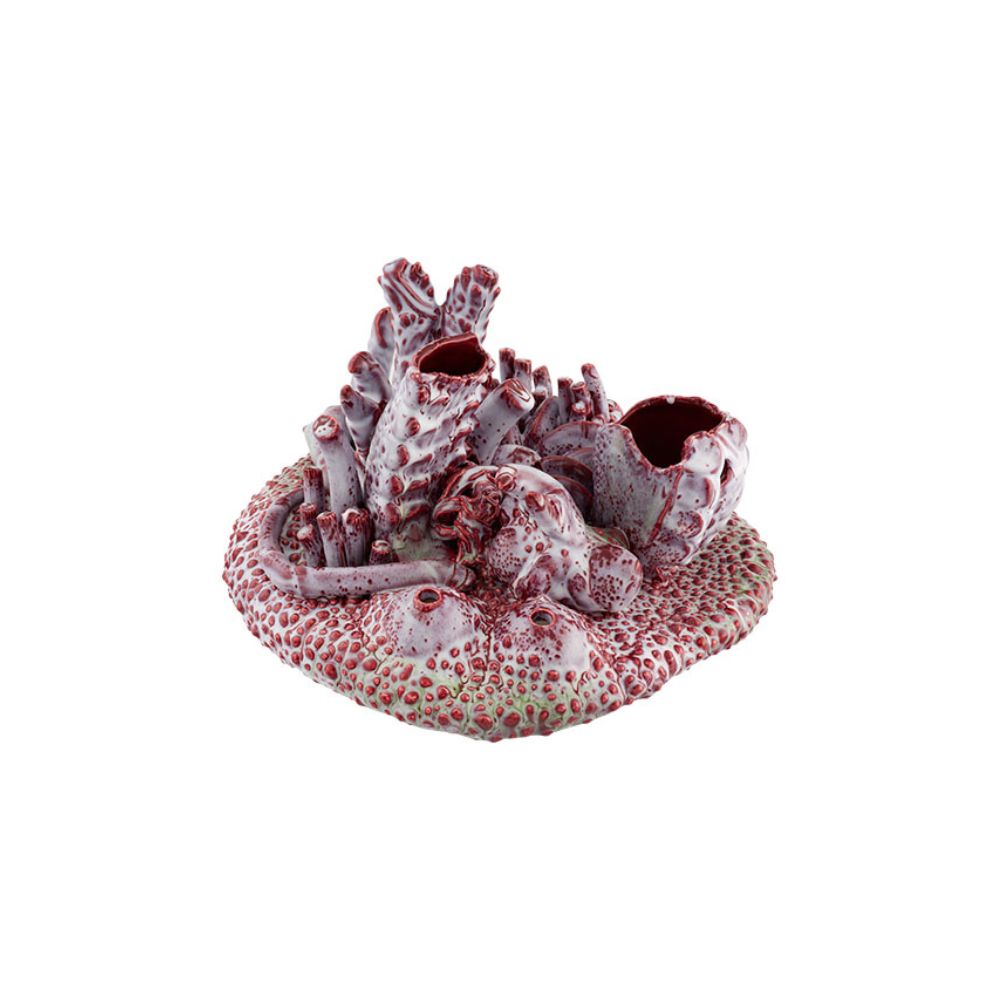Deep Coral Reef