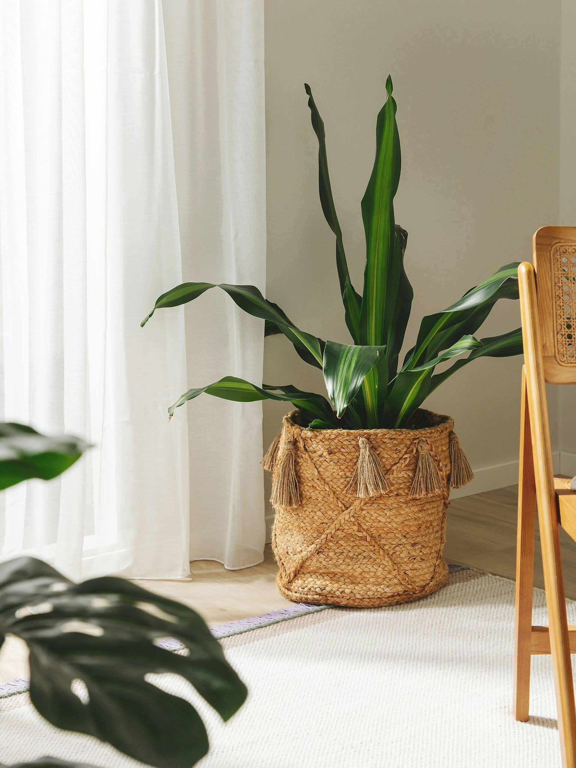 JUDI - Panier natural 35x35x35