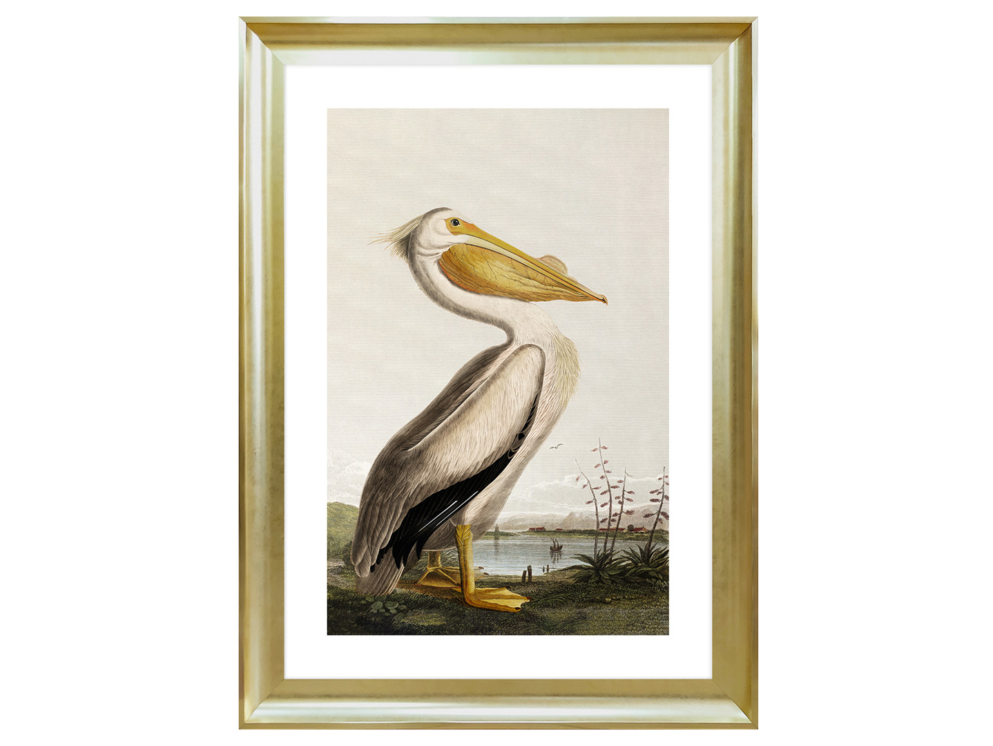 Obraz w ramie Pelican Over The Water 58x68 cm
