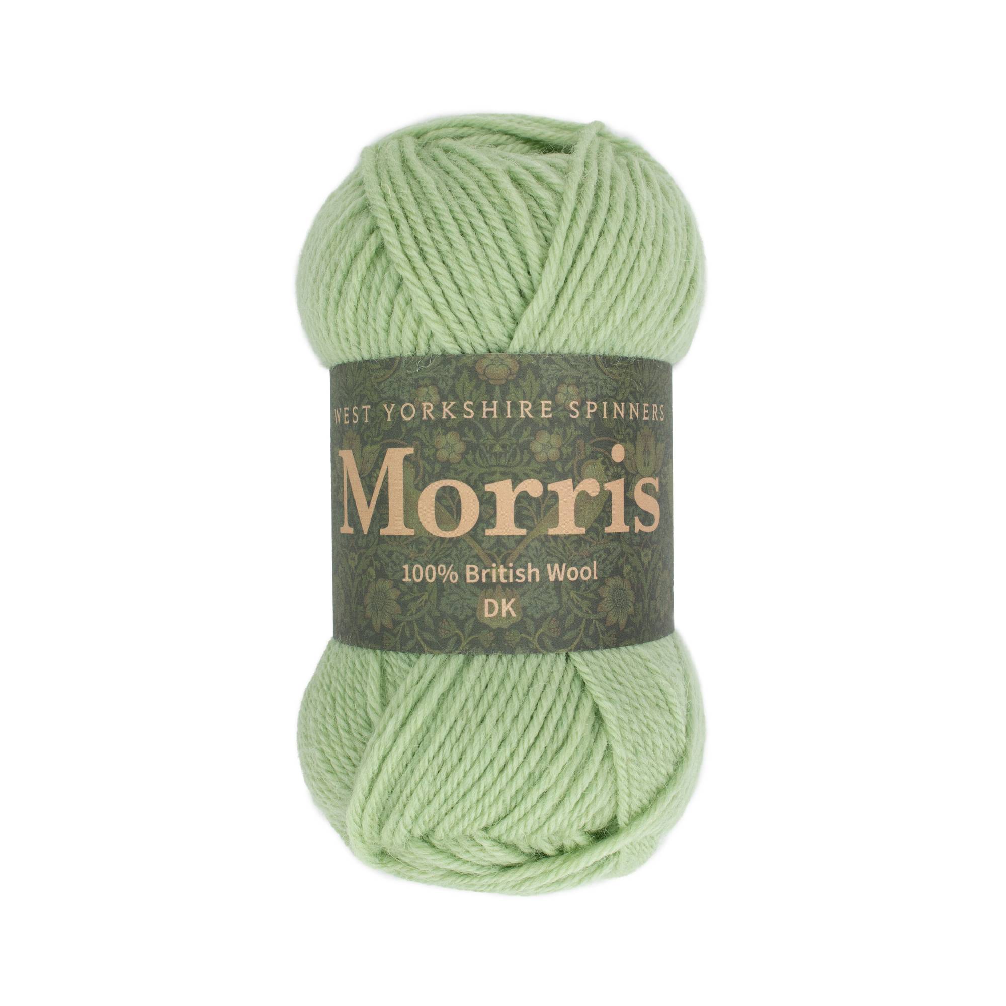 West Yorkshire Spinners Sage Morris DK 50g