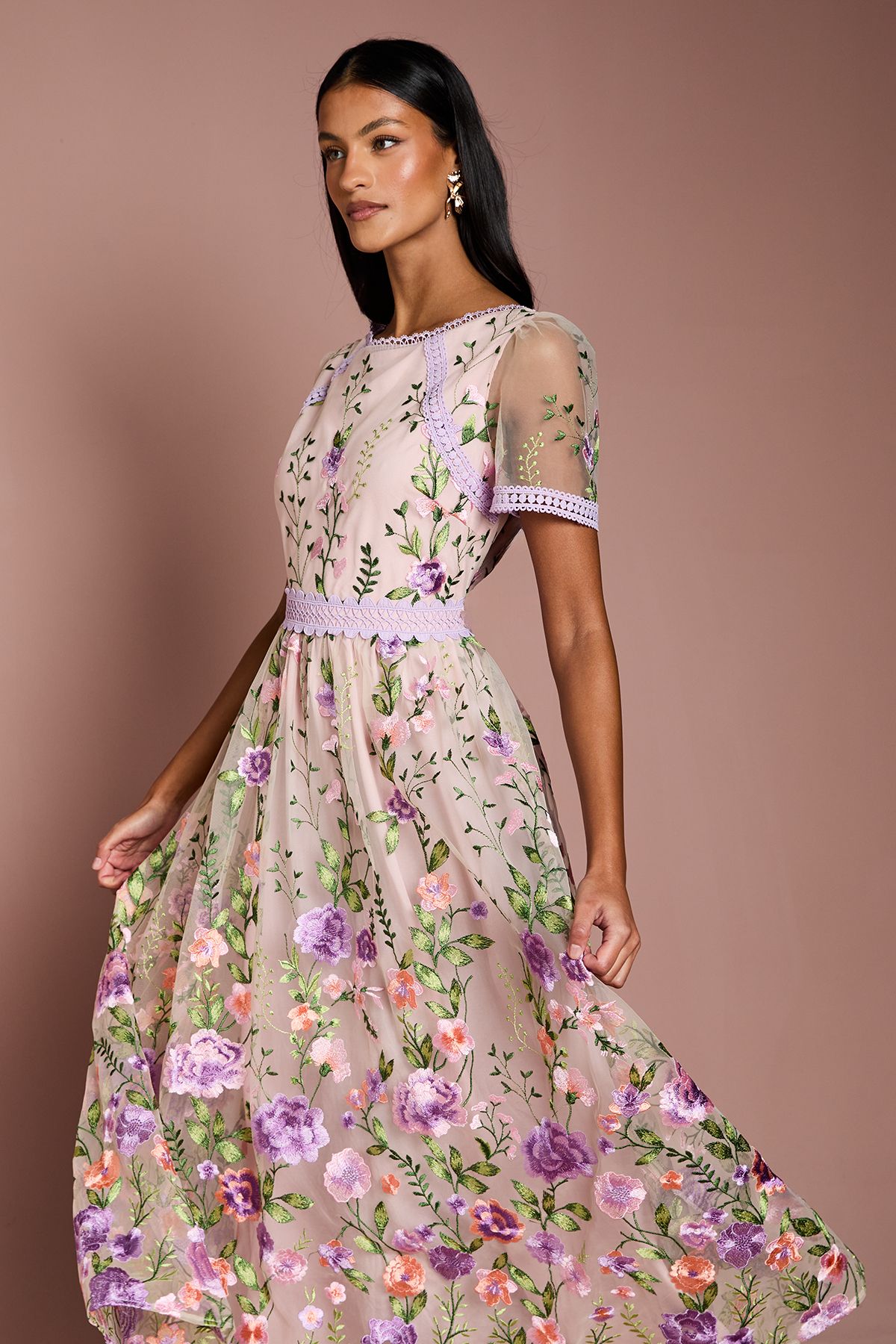 Coast Petite Lace Trim Detail Embroidered Mesh Midi Dress