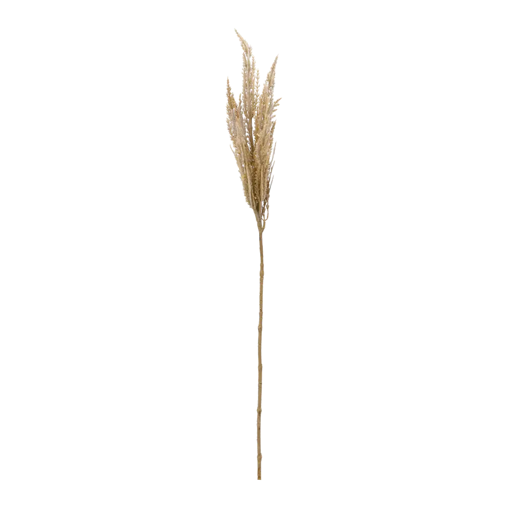 Dekozweig Dried-Grass