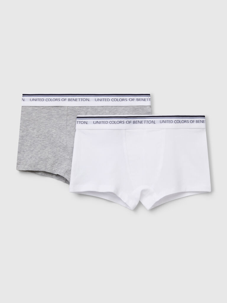 Two boxers with logoed elastic