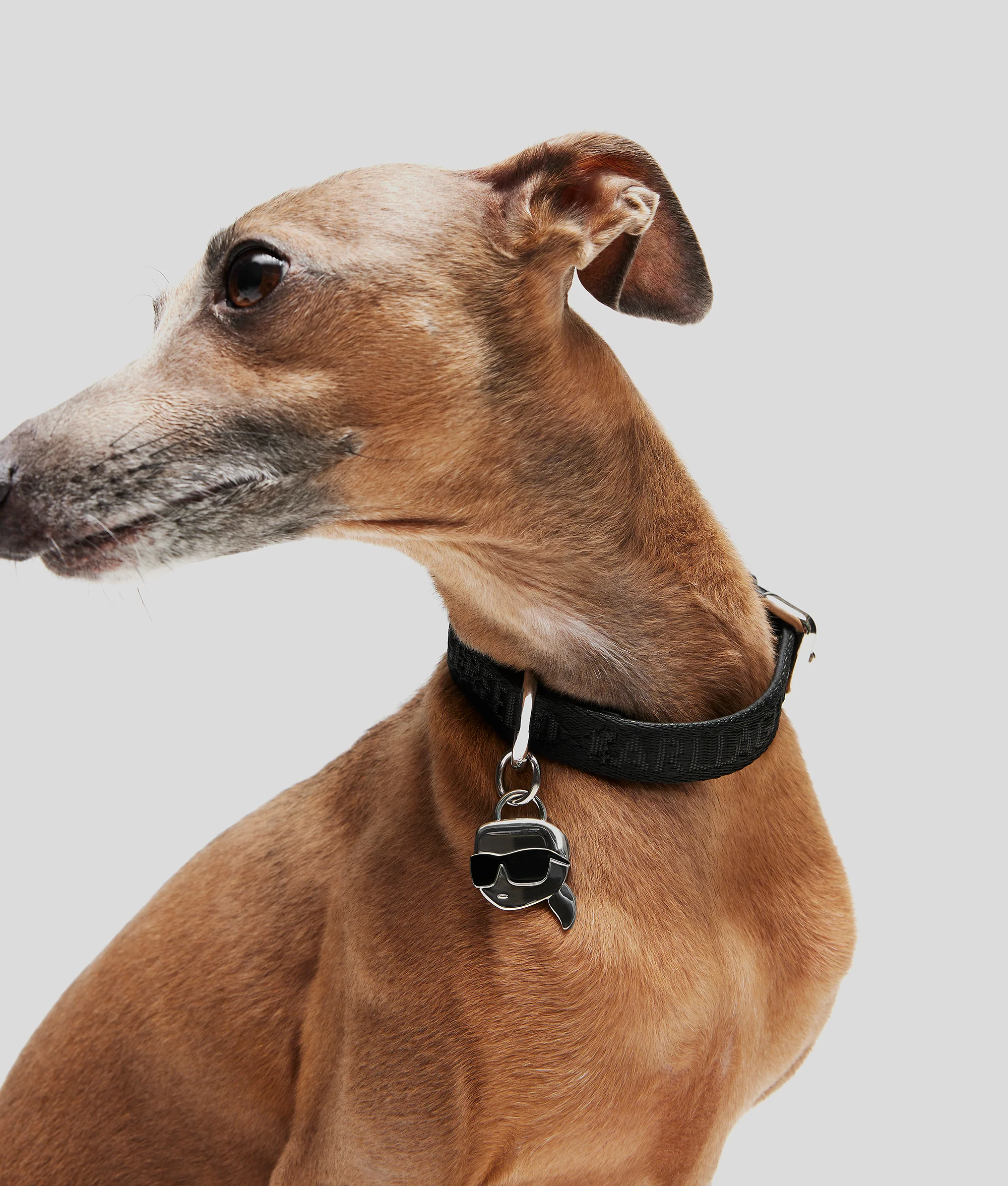 Collier K/Pet