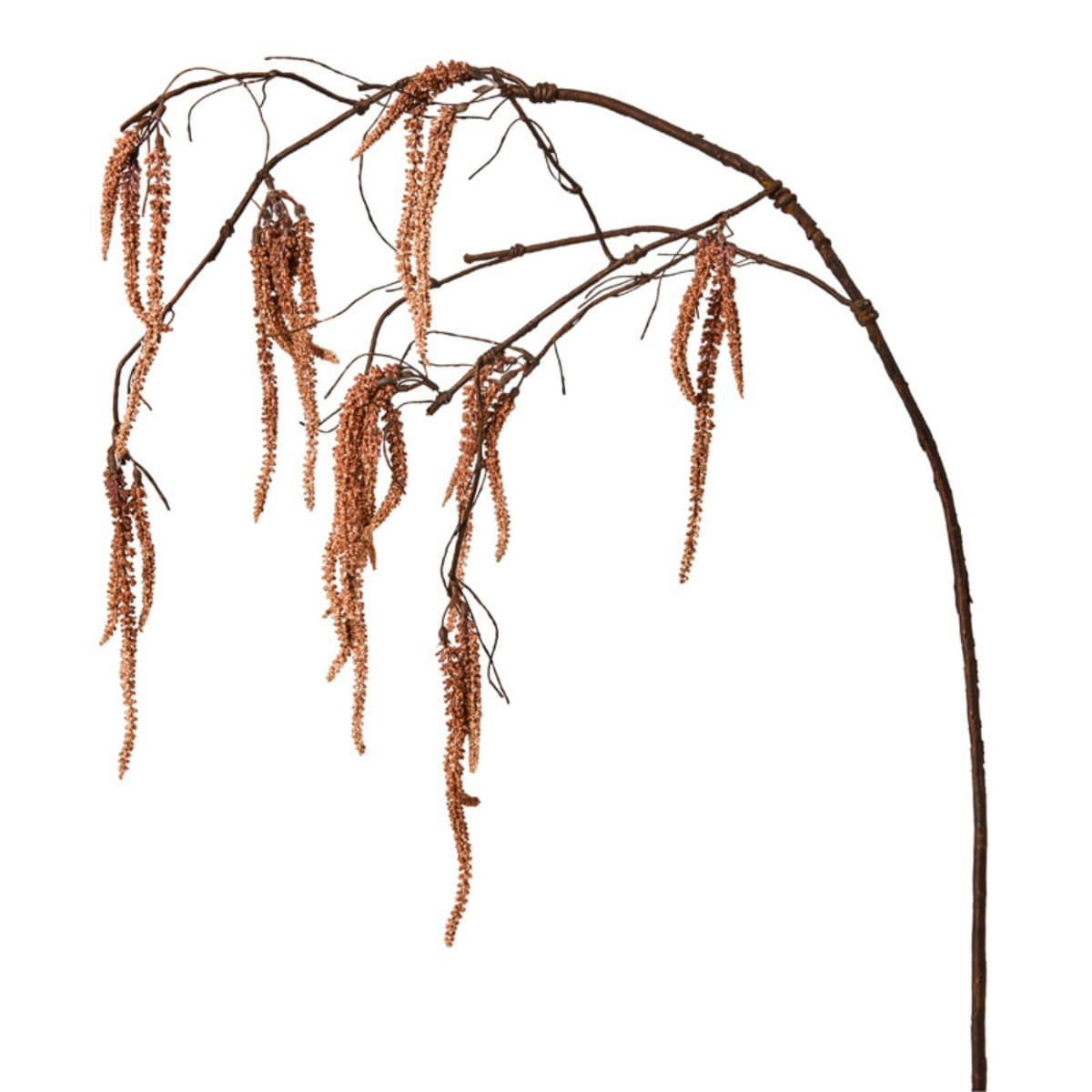 - Amarante tombante h119