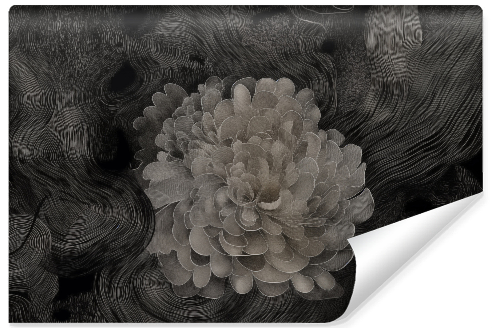 Fototapeta Monochromatyczna Kwiatowa Abstrakcja 520x318cm