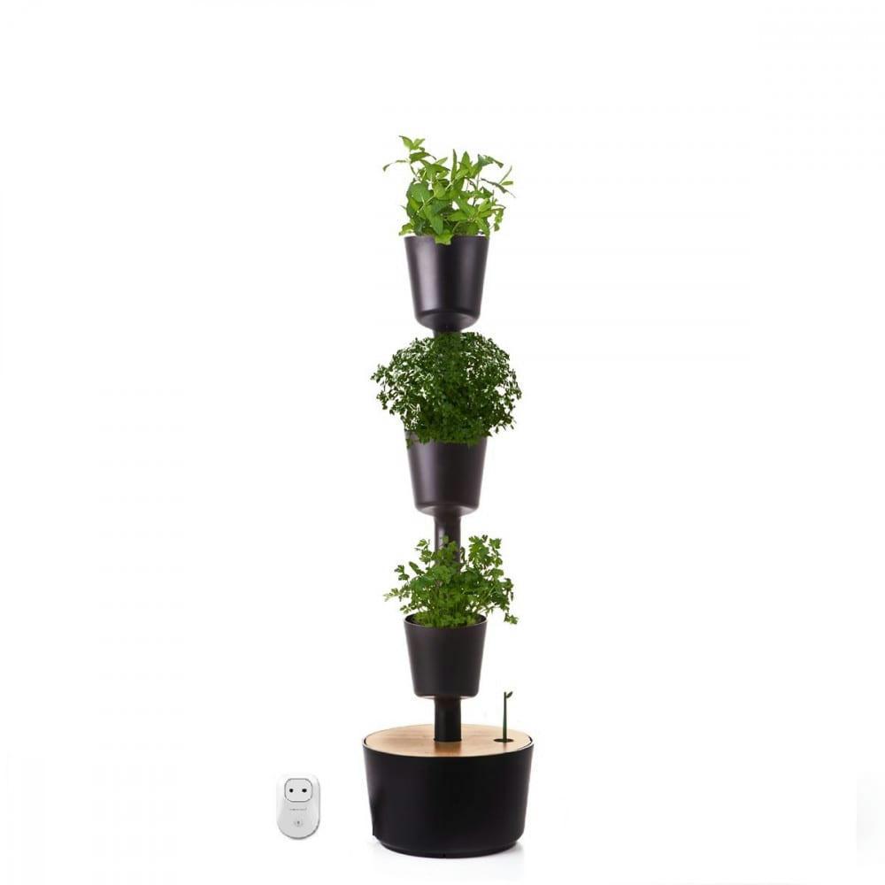 - Jardin d'intérieur 3 bacs noir avec arrosage automatique wifi et