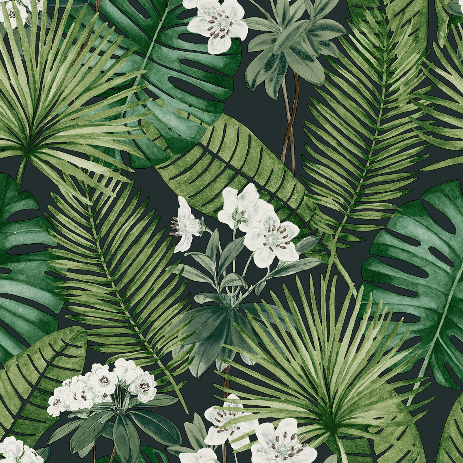 - Papier peint exotique Marie blanc 0,53x10 mètrescm