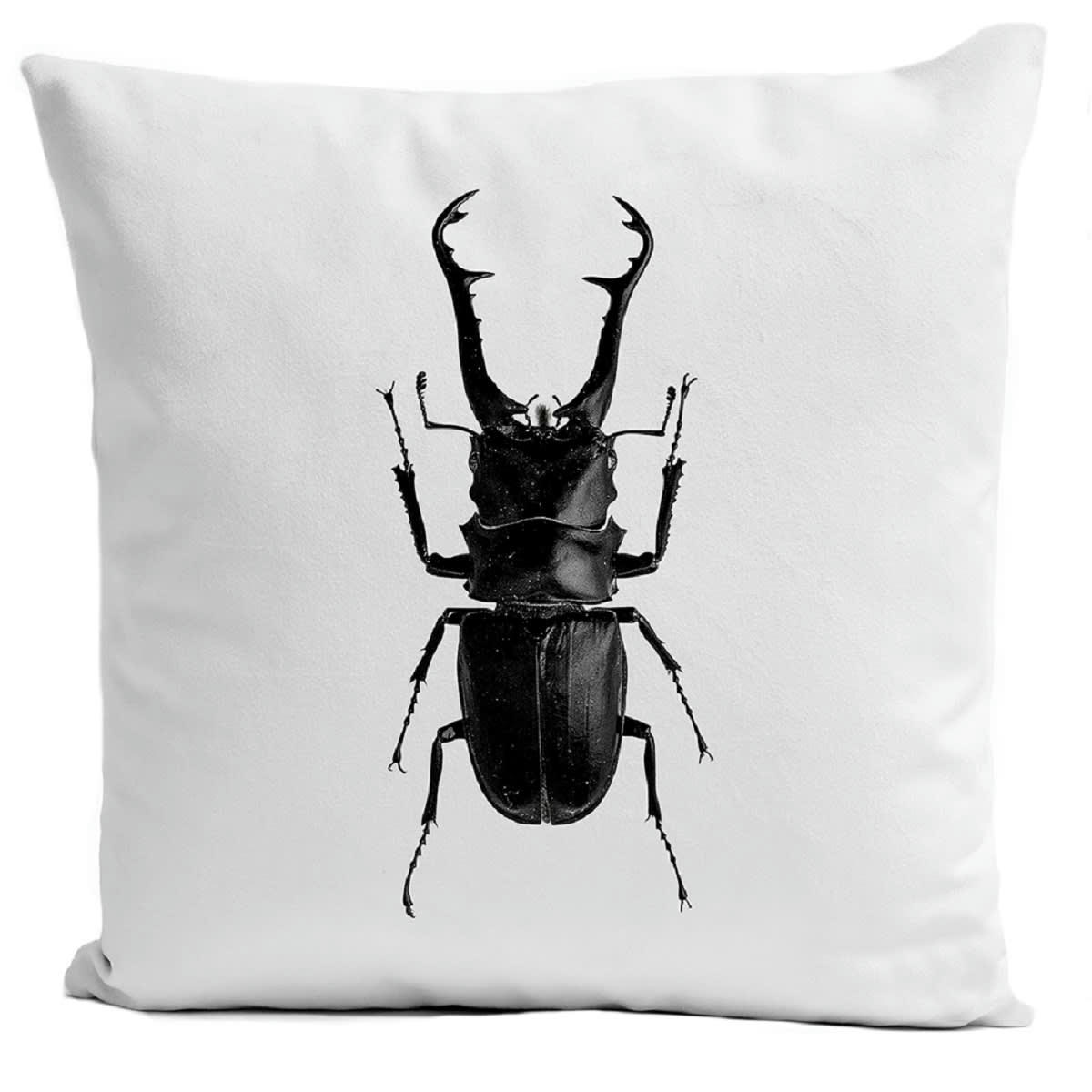 - Coussin insecte cabinet de curiosité suédine blanc 40x40cm