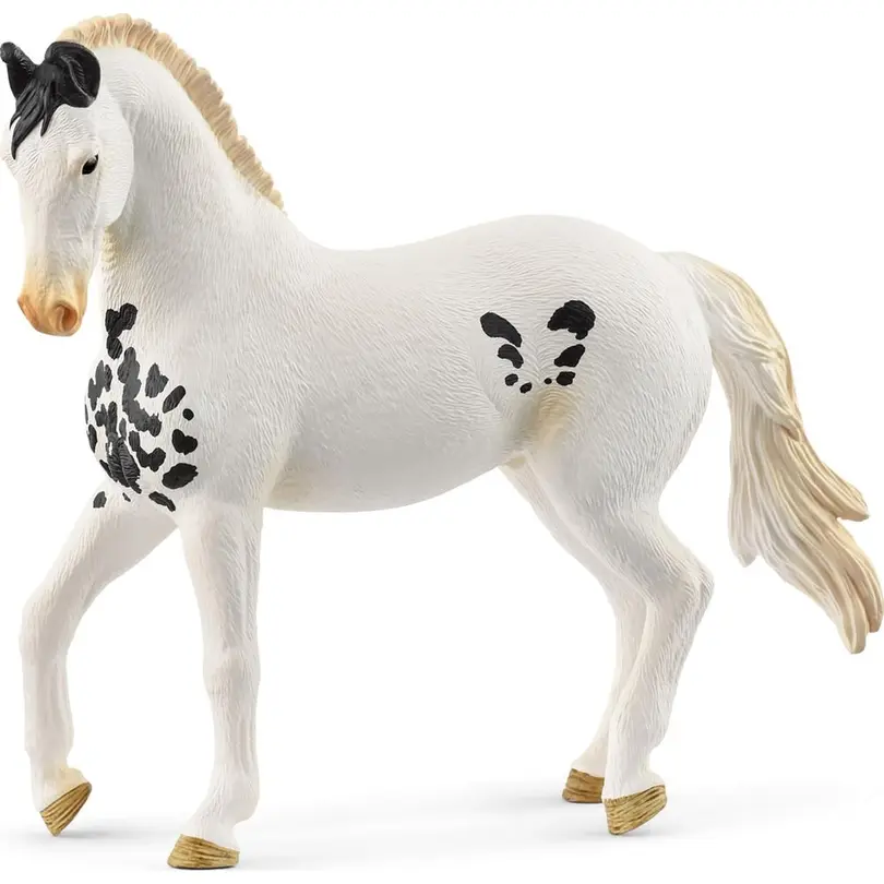 Spielset Horse Club