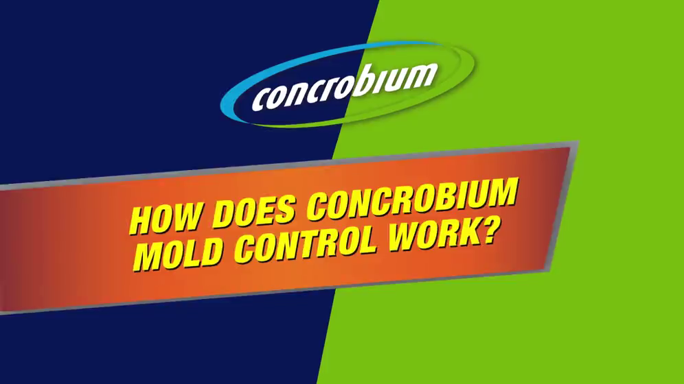 Concrobium Mold Control Spray Bottle, 946-mL